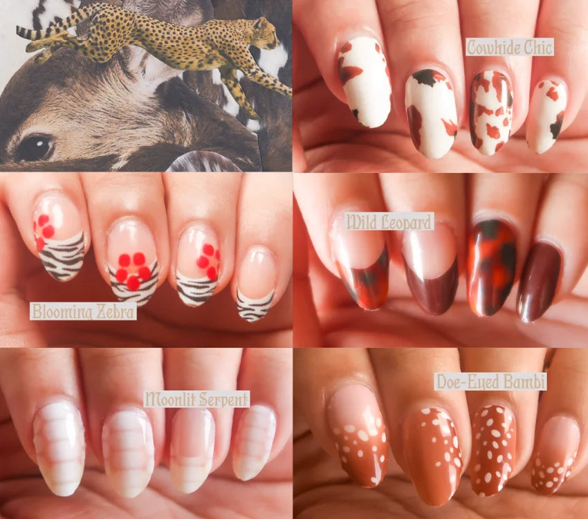 Wilderkind Collection| By Me and Crew